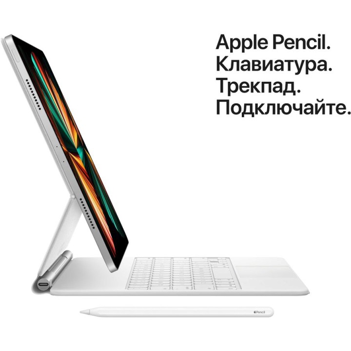 Планшет Apple iPad Pro 2021 11" 2Tb Wi-Fi MHR23RU/A,  16ГБ, 2ТБ серый космос